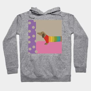 Wiener Dog in a Rainbow Sweater Hoodie